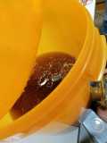 IMG-20200517-WA0007
