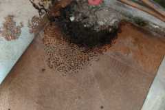 IMG-20220205-WA0030