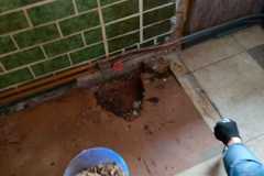 IMG-20220205-WA0031