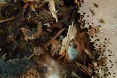 IMG-20220205-WA0033