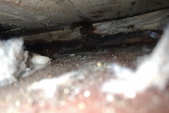 IMG_20220205_150341